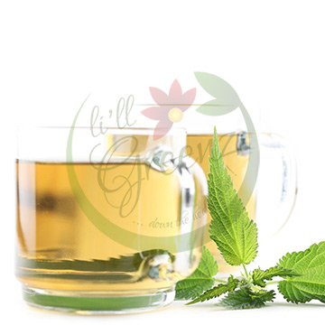 /Content/Assets/UploadedFiles/ProductImages/17/nettle-leaf-health-and-wellness.jpg